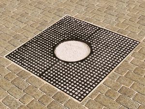 cast-iron-drzewa-marshalls-carmel