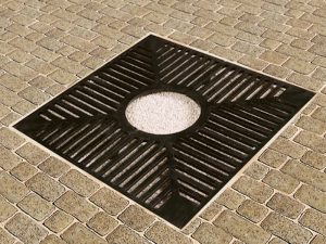 cast-iron-drzewa-marshalls-carmel