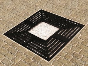 cast-iron-drzewa-marshalls-carmel