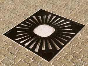 cast-iron-drzewa-marshalls-carmel